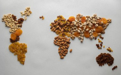 Global Mobility and Employment